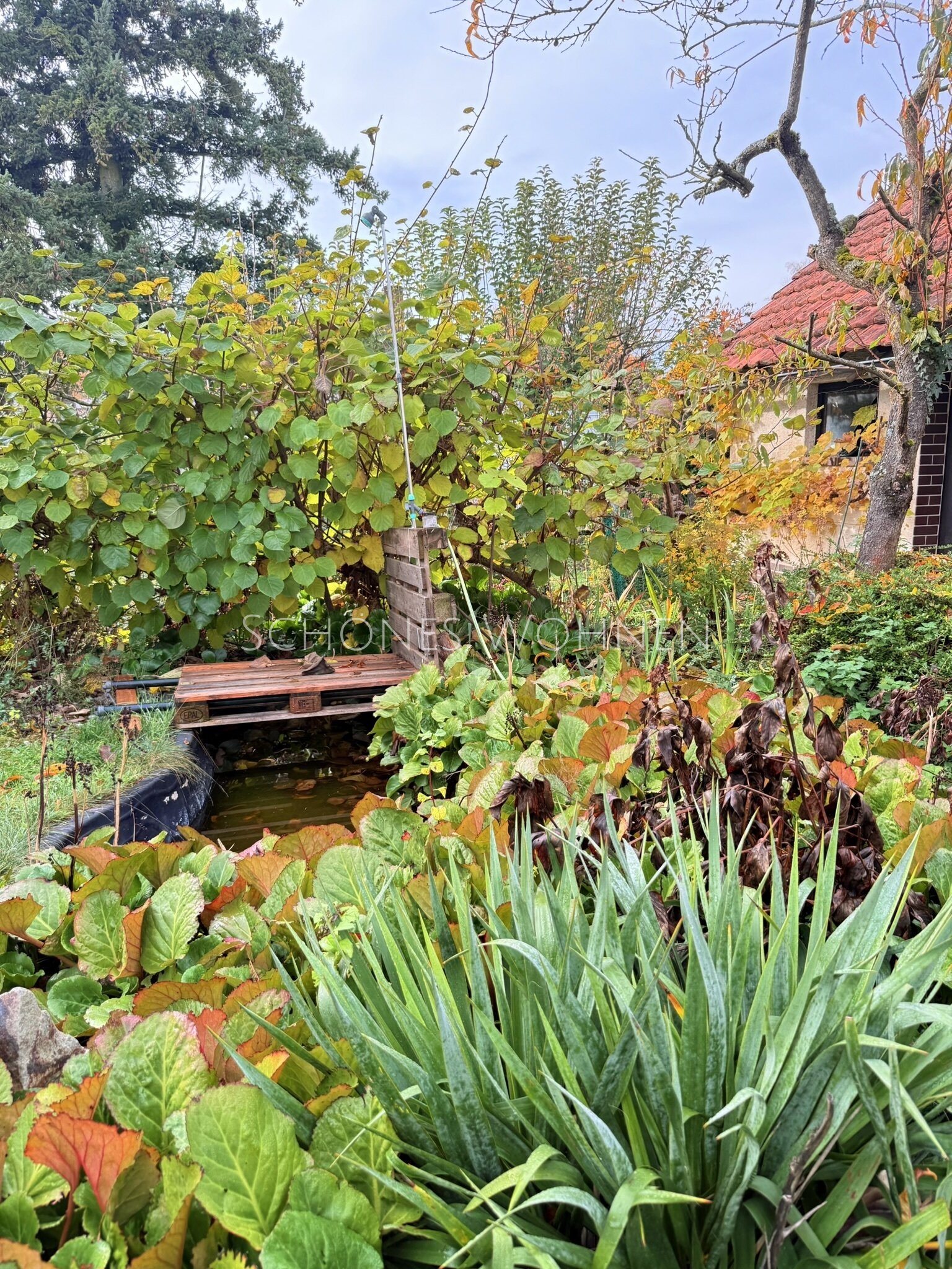 stadtnahes Wohnen & Platz für die ganze Familie | Mainz-Hechtsheim (Erbpacht)