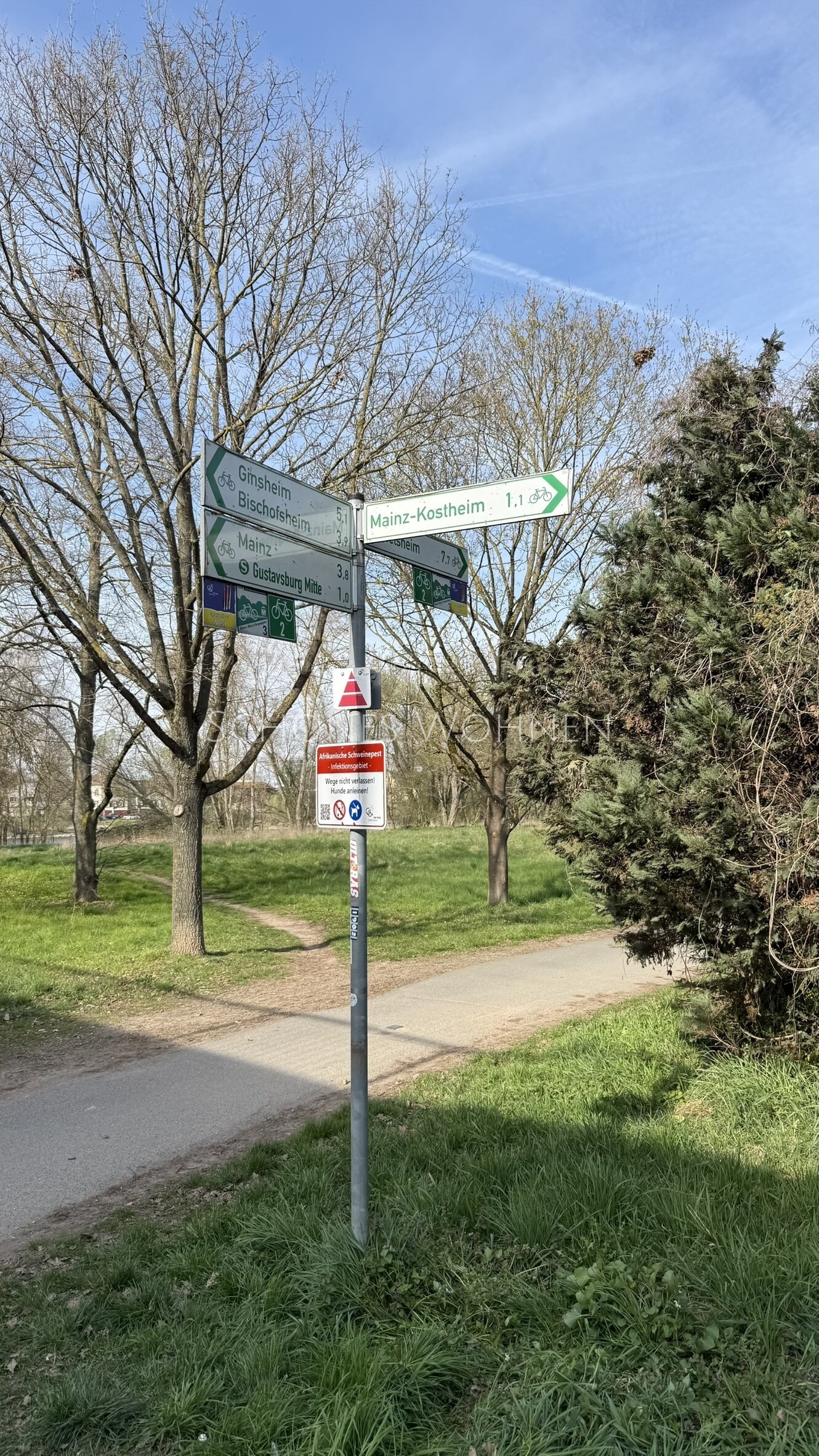 Steuerprivileg Denkmal – vermietete ETW | Ginsheim-Gustavsburg