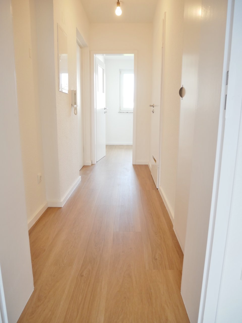 Single-Appartement mit Rheinpanorama | Mainz-Neustadt 
