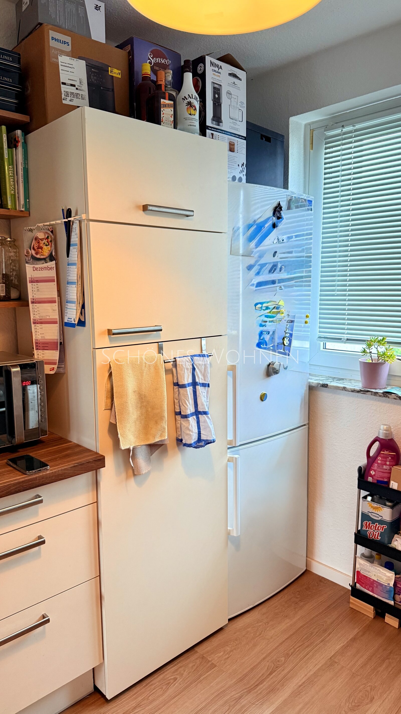 Single-Appartement mit Rheinpanorama | Mainz-Neustadt 