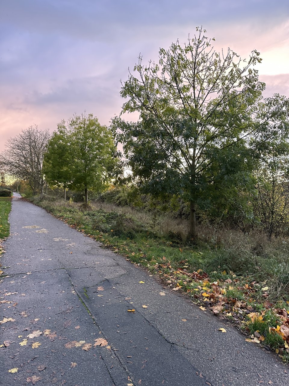  Feldweg am Haus