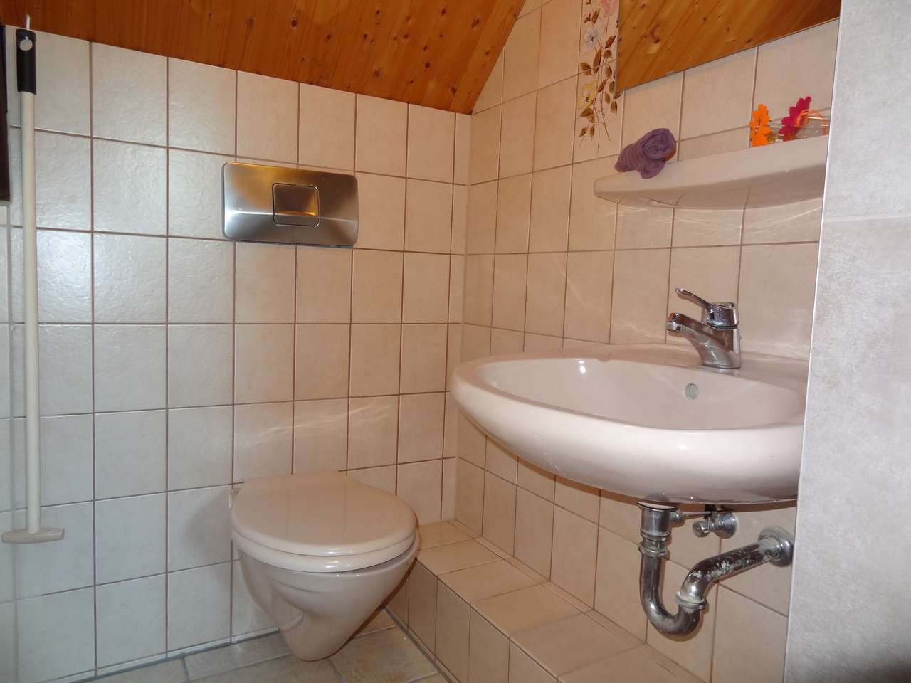 05 - DG Toilette 05 - DG Toilette