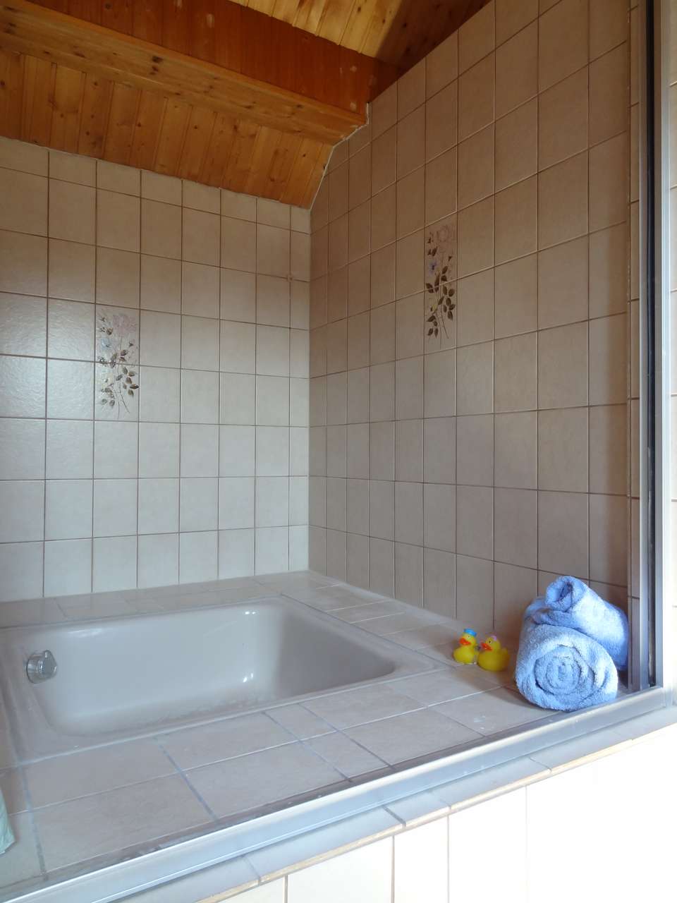 06 - DG Dusche 06 - DG Dusche