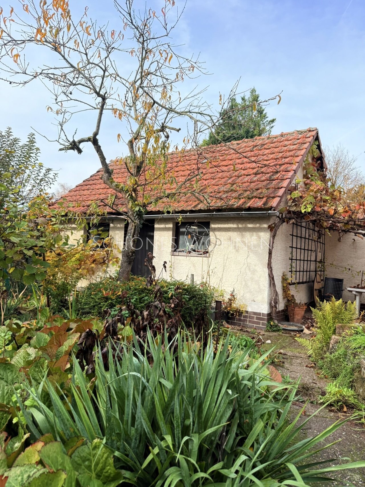 Scheune Außenansicht Scheune Außenansicht