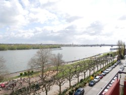 Rehinblick Rehinblick