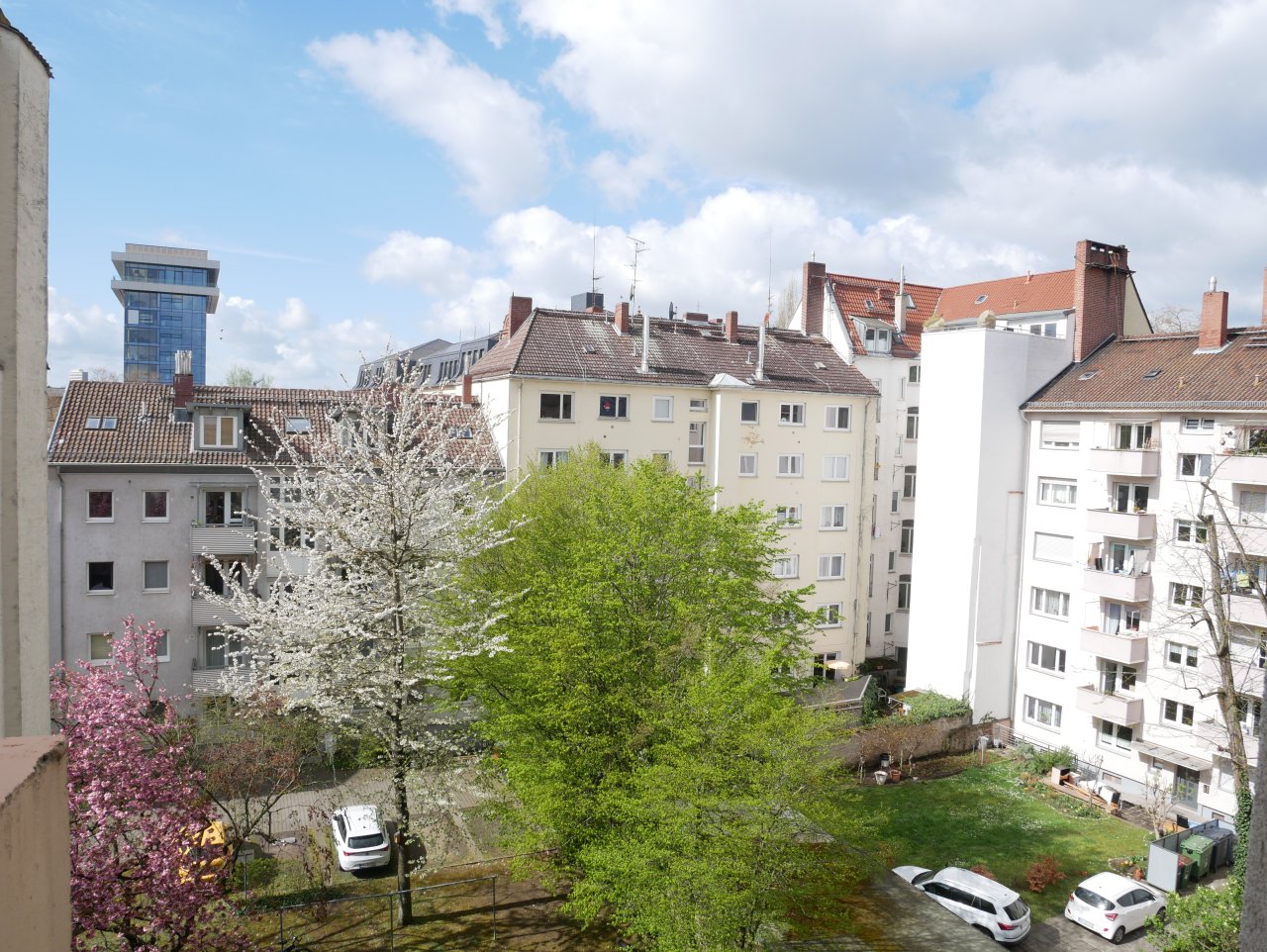Blick aus der Küche Blick aus der Küche