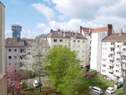 Blick aus der Küche Blick aus der Küche