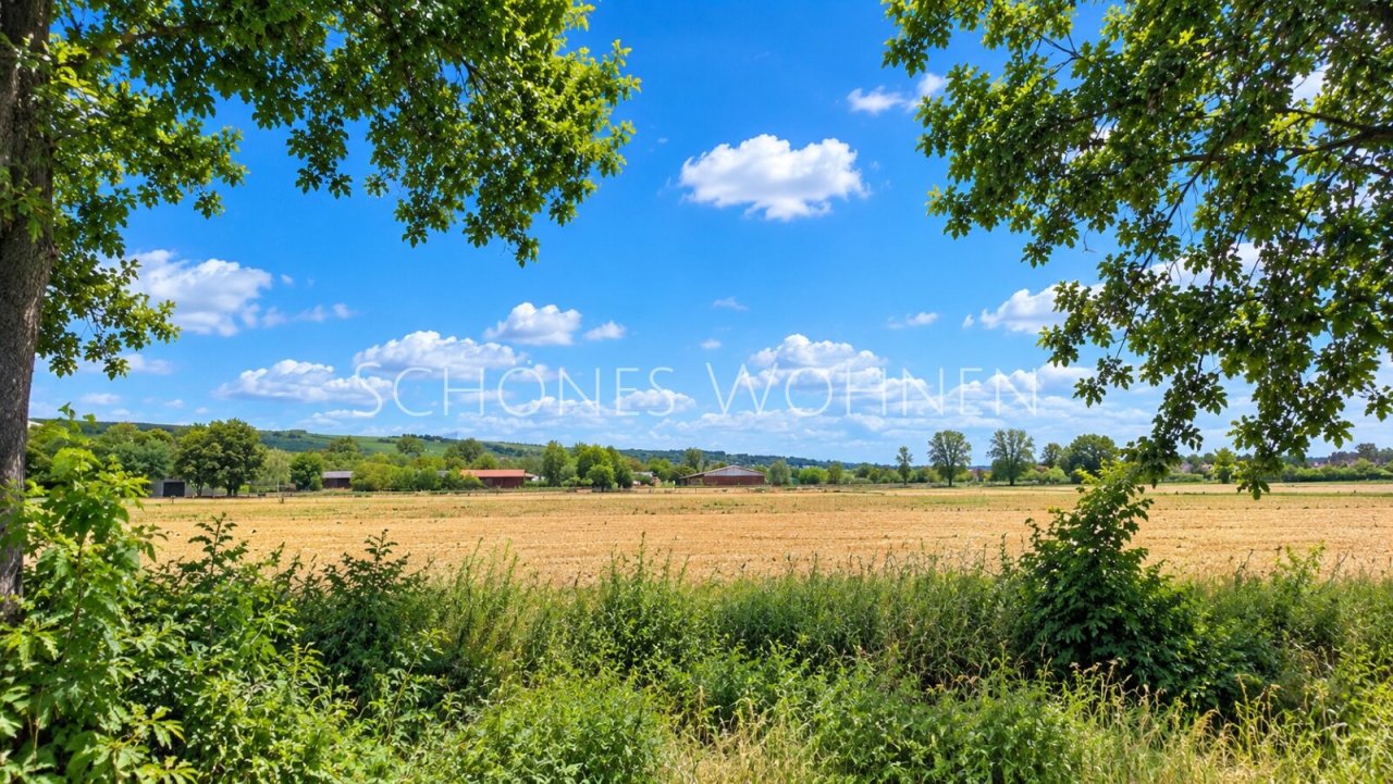 Ausblick Ausblick
