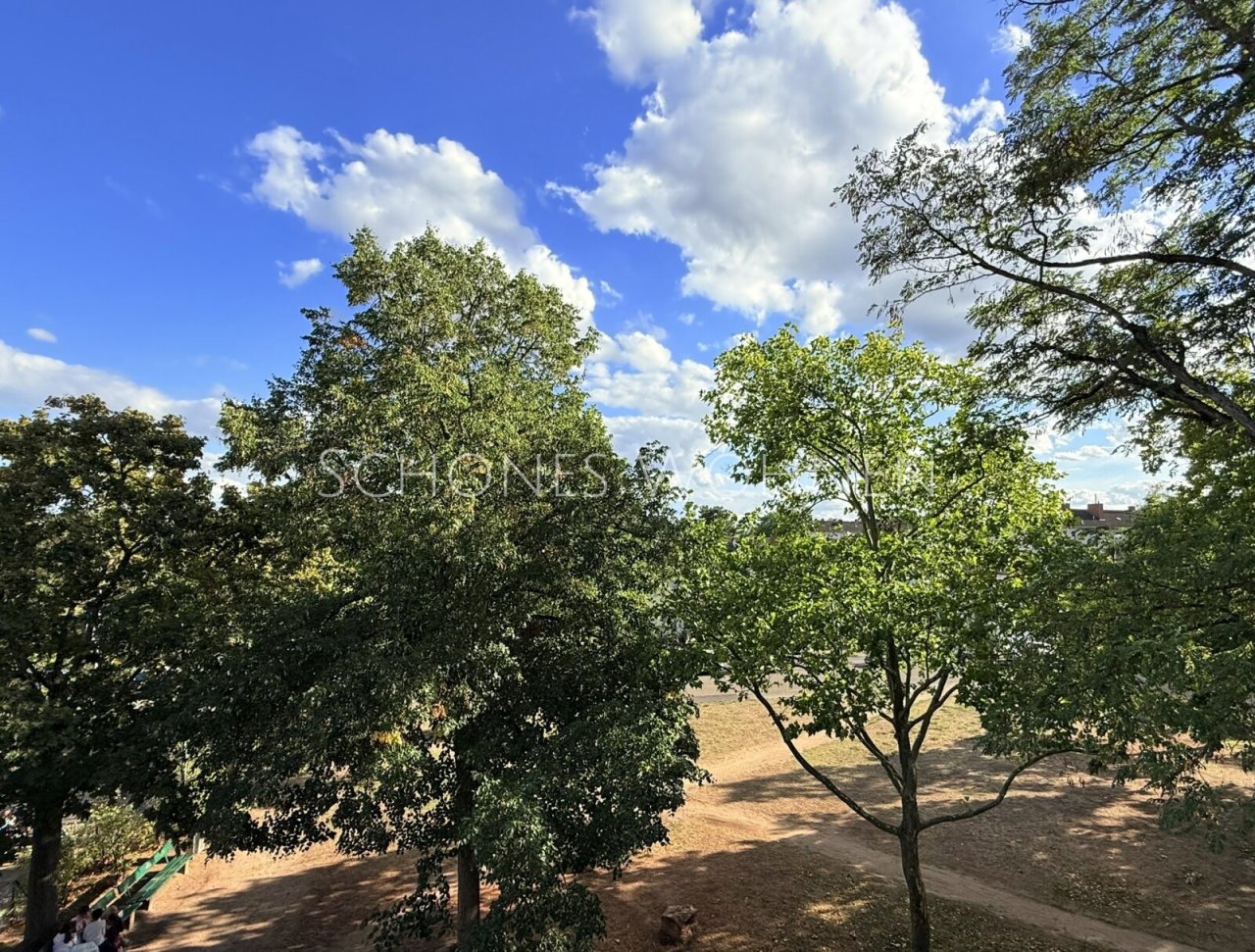 Ausblick Ausblick